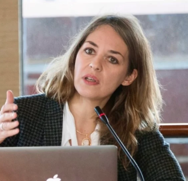 Honorary Fellows Centre For International Law