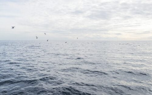 Yavuz Arda Yakut & Anaïs Rémont Blog Post Image