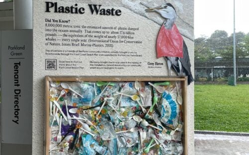 Yulu Liu Blog Post Image