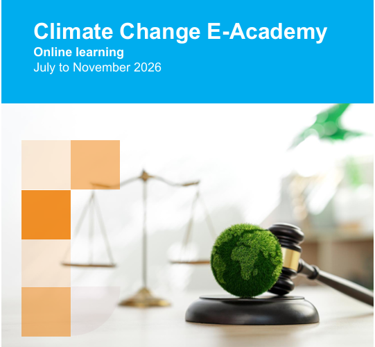 Climate E-Acade,y Brochure (1)