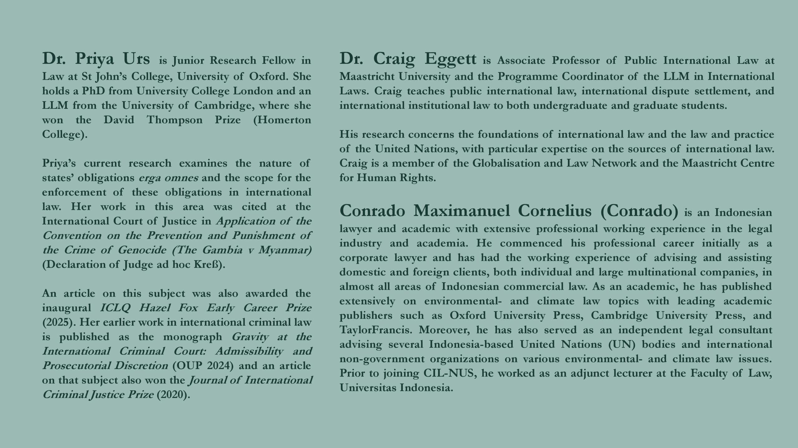 Erga Omnes Flyer 130626-page-002
