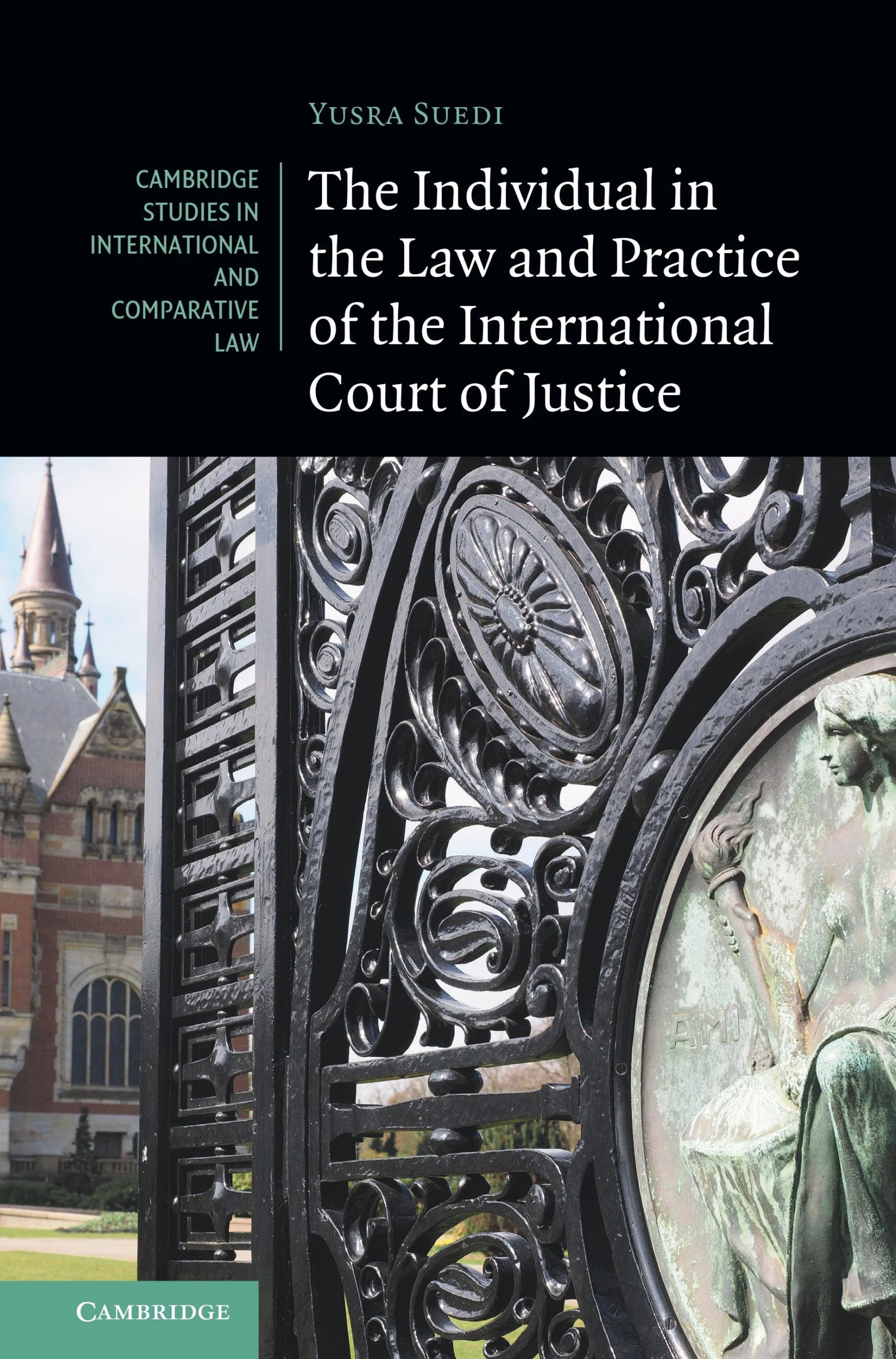 Individual and ICJ Blog Post Image