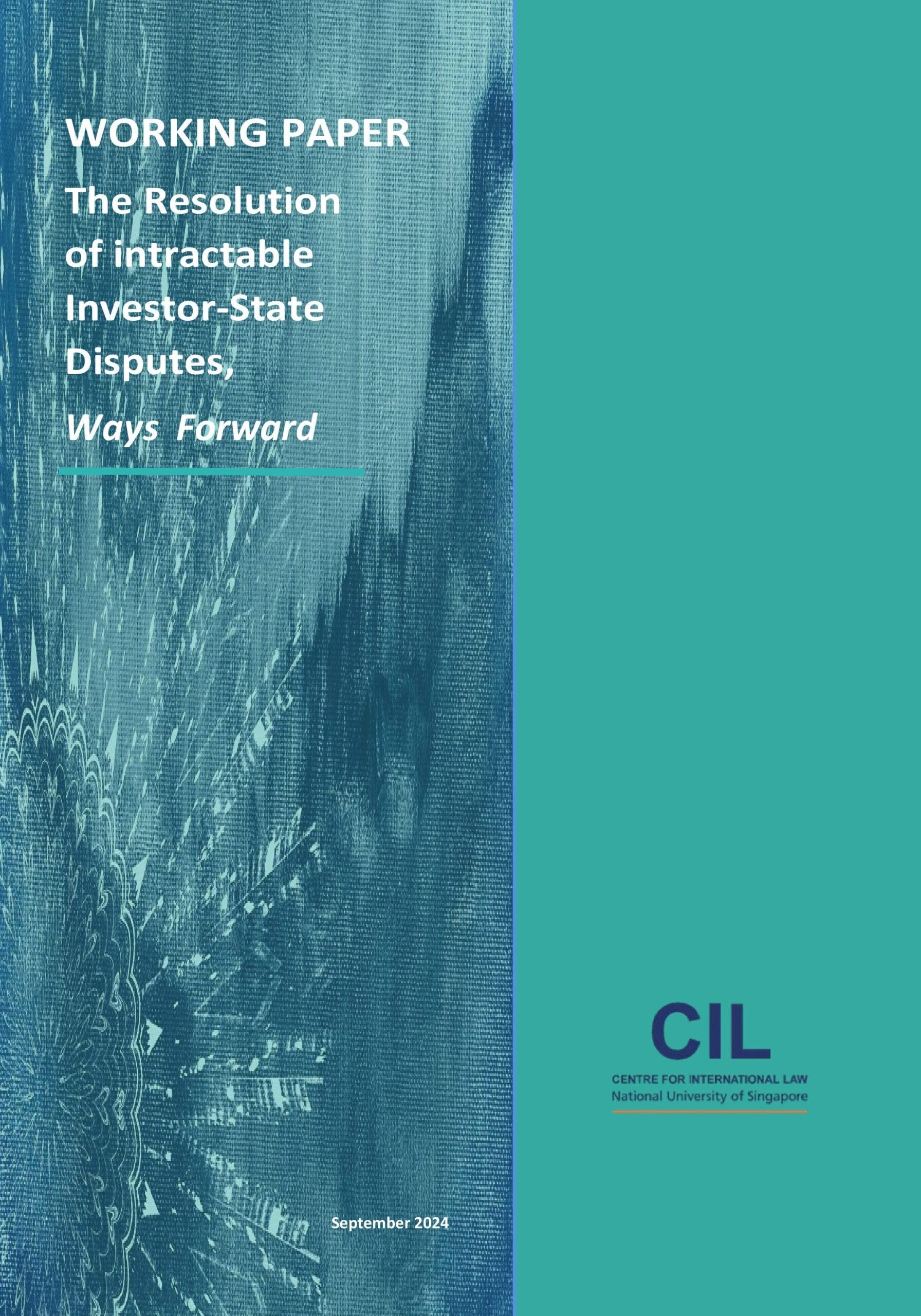 IDR Working Paper no 1_17 Sept 2024-page-001