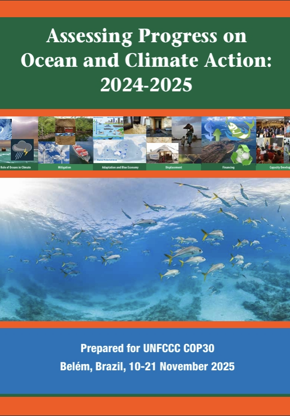 ROCA report cover page